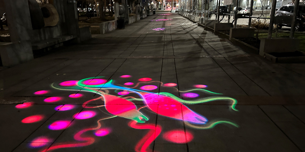 Spawning salmon light projection along the LUK Artwalk