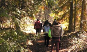 UBCO initiative fosters community connection through art at Woodhaven