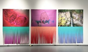 Tania Willard, Through and Through, latex print on canvas